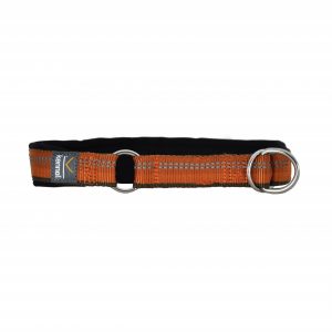 KENNEL EQUIP Dog Halsband Halvstryp Active, Orange, 54-62cm x 35mm