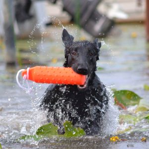 DOGMAN Gummidummie liten S/M 26 cm, flytande